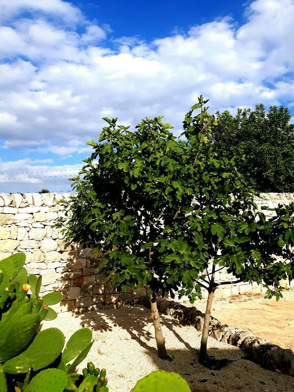 Masseria Ciancio Casa Serrafiori Exterior foto